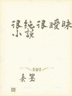 很纯很暧昧有声小说