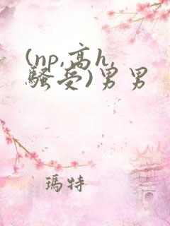 (np,高h,骚受)男男