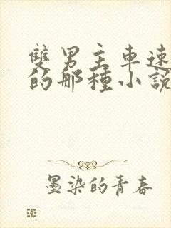 双男主车速超快的那种小说