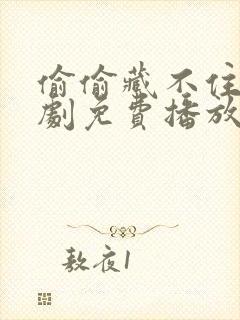 偷偷藏不住电视剧免费播放在线