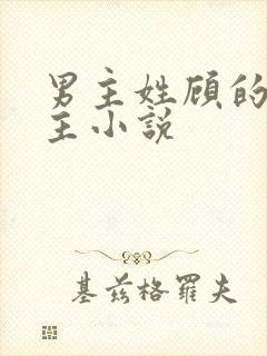 男主姓顾的双男主小说