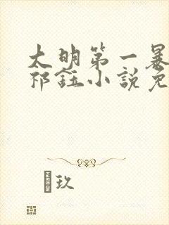 大明第一暴君朱祁钰小说免费阅读