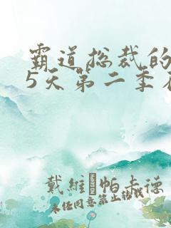 霸道总裁的365天第二季在线观看