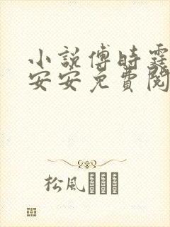 小说傅时霆与秦安安免费阅读笔趣阁