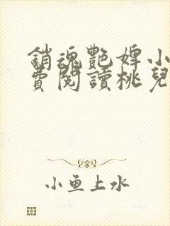 销魂艳婢小说免费阅读桃儿的身世