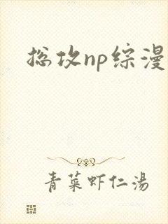 总攻np综漫