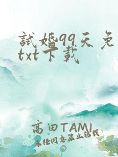 试婚99天免费txt下载