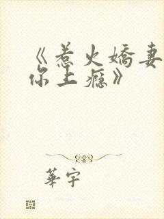 《惹火娇妻,宠你上瘾》