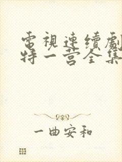 电视连续剧我的特一营全集完整版