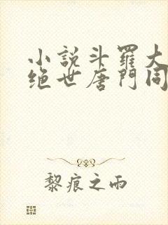 小说斗罗大陆2绝世唐门同人