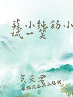 苏小纯的小说倾城一笑