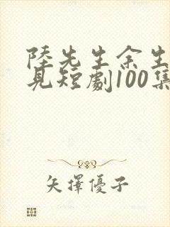 陆先生余生不再见短剧100集免费观看