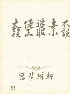 大佬追妻不择手段正版小说