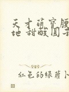 天才萌宝腹黑爹地 甜酸圆子