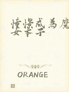 憧憬成为魔法少女本子