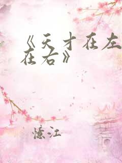 《天才在左疯子在右》