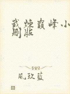 武炼巅峰小说未删版