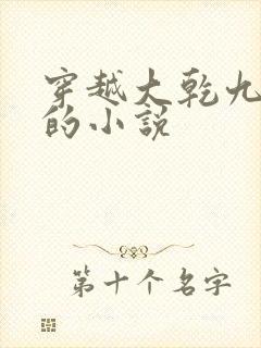 穿越大乾九皇子的小说