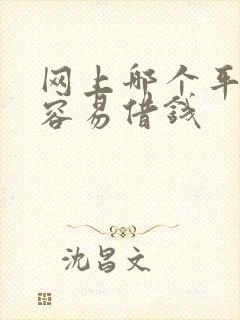 网上哪个平台最容易借钱