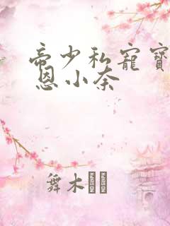 帝少私宠宝贝妻 恩小奈