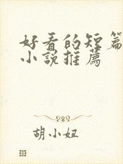 好看的短篇完结小说推荐