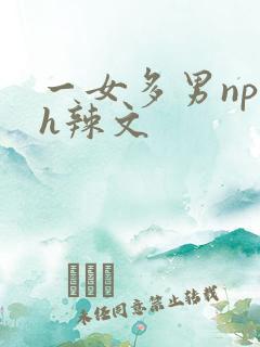 一女多男np高h辣文