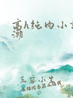 高h纯肉小说高潮