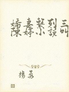娇妻系列三部曲陈婷小说叫什么名字