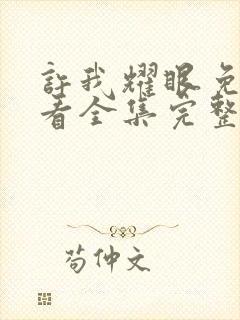 许我耀眼免费观看全集完整版高清