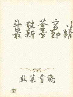 斗破苍穹 小说最新章节精校版