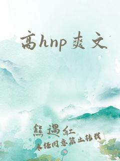 高hnp爽文