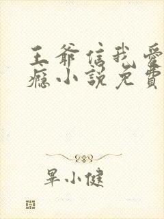 王爷信我爱他成瘾小说免费阅读