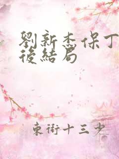 刘新杰保丁三最后结局