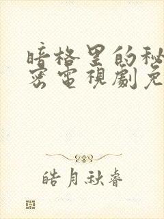 暗格里的秘密秘密电视剧免费播放