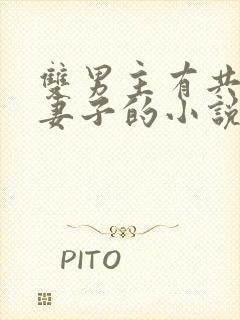 双男主有共同的妻子的小说