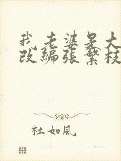 我老婆是大明星改编张繁枝