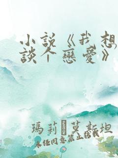小说《我想和你谈个恋爱》