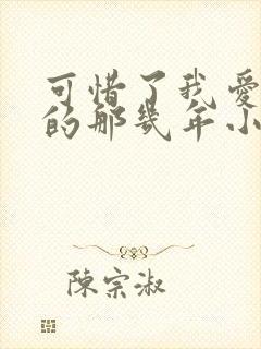 可惜了我爱着你的那几年小说免费阅读