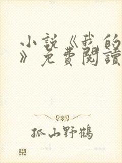 小说《我的荷姨》免费阅读