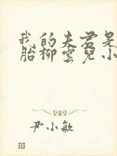 我的夫君是双胞胎柳云儿小说全文