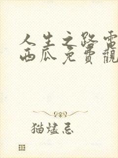 人生之路电视剧西瓜免费观看