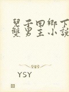 儿子回乡下父子双男主小说