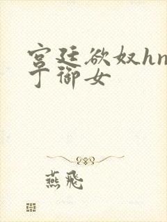 宫廷欲奴hnp丁御女