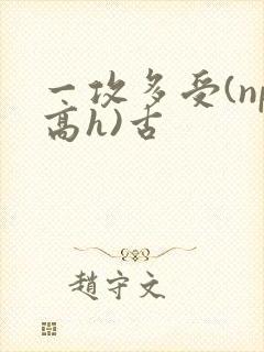 一攻多受(np高h)古