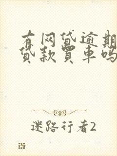 有网贷逾期可以贷款买车吗