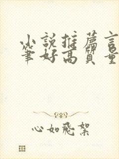 小说推荐言情文笔好高质量