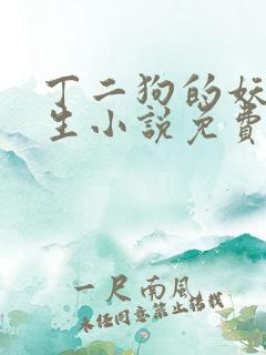 丁二狗的妖孽人生小说免费阅读