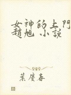 女神的上门豪婿赵旭 小说