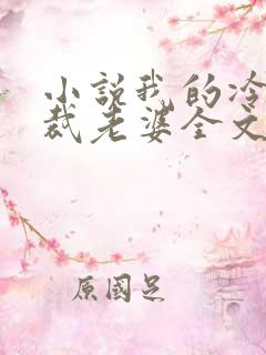 小说我的冷艳总裁老婆全文阅读