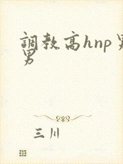 调教高hnp男男